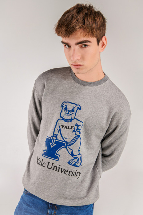 Buzo, con estampado en frente, de Yale