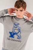 Buzo, con estampado en frente, de Yale