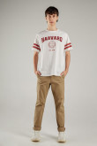 Camiseta, con estampado en frente y mangas, de Harvard
