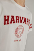 camiseta-con-estampado-en-frente-y-mangas-de-harvard