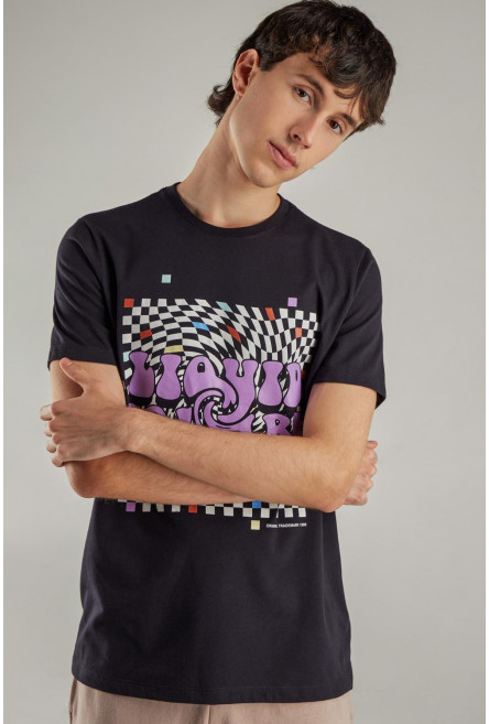 Camiseta básica manga corta con estampado