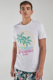 Camiseta manga corta estampada.