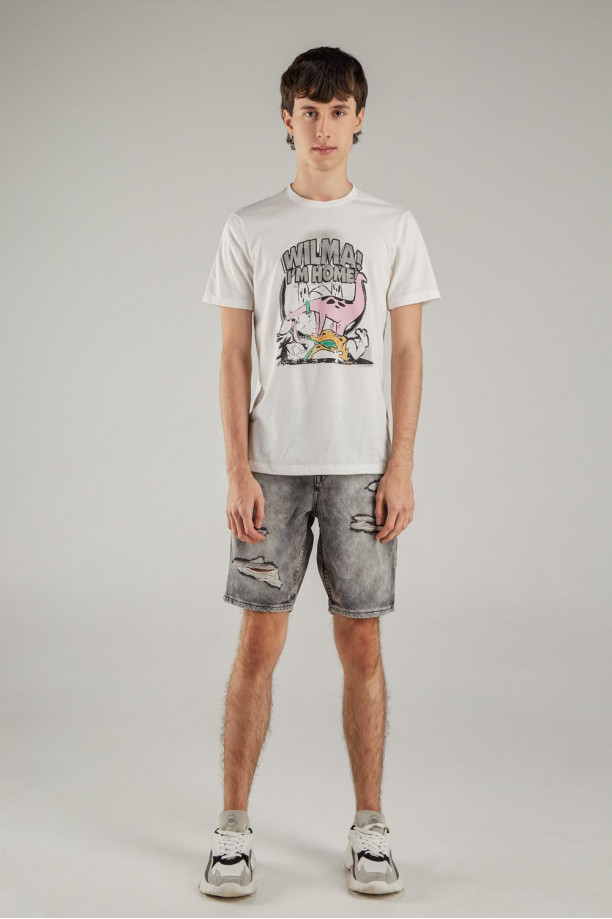 Camiseta manga corta, para hombre, con estampado en frente de Los Picapiedra.