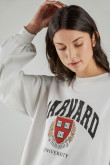 buzo-cuello-redondo-con-estampado-en-frente-y-manga-de-harvard
