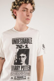Camiseta manga corta estampada de Harry Potter.