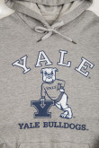 Buzo con capota, con estampado en frente y manga, de Yale