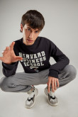 Buzo, con estampado en frente, de Harvard