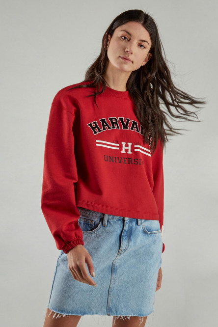 Buzo cuello redondo, con estampado en frente y mangas, de Harvard