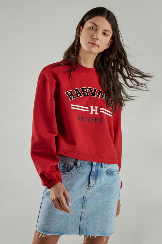 Buzo cuello redondo, con estampado en frente y mangas, de Harvard
