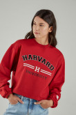 Buzo cuello redondo, con estampado en frente y mangas, de Harvard