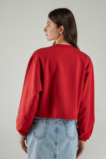 Buzo cuello redondo, con estampado en frente y mangas, de Harvard