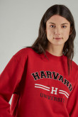 Buzo cuello redondo, con estampado en frente y mangas, de Harvard