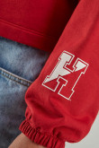 Buzo cuello redondo, con estampado en frente y mangas, de Harvard