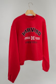 Buzo cuello redondo, con estampado en frente y mangas, de Harvard