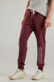 Pantalón, con estampado en frente, de Harvard