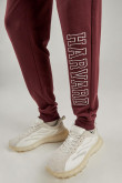 Pantalón, con estampado en frente, de Harvard