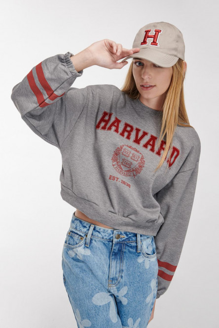 Buzo cuello redondo, con estampado en frente y mangas, de Harvard
