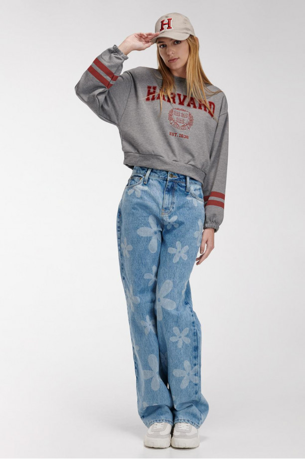 Buzo cuello redondo, con estampado en frente y mangas, de Harvard