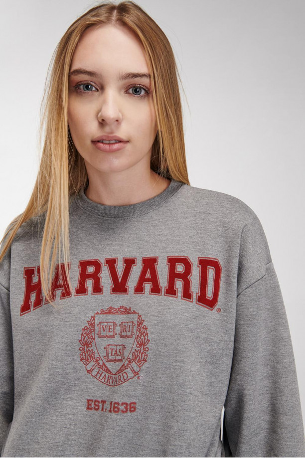 Buzo cuello redondo, con estampado en frente y mangas, de Harvard