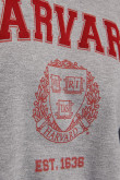 Buzo cuello redondo, con estampado en frente y mangas, de Harvard