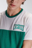 Camiseta estampada, cuello redondo, manga corta con estampado frente