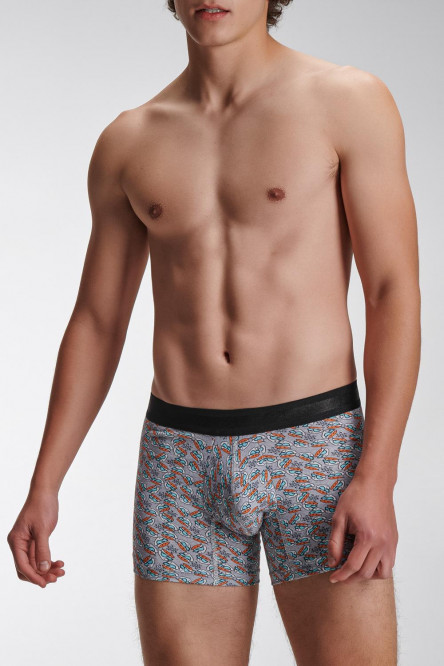 Boxer Trunk estampado El laboratorio de Dexter