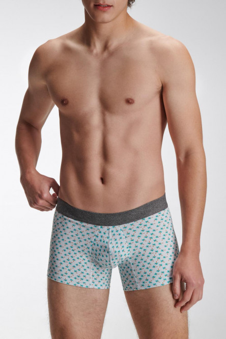 Boxer Trunk estampado