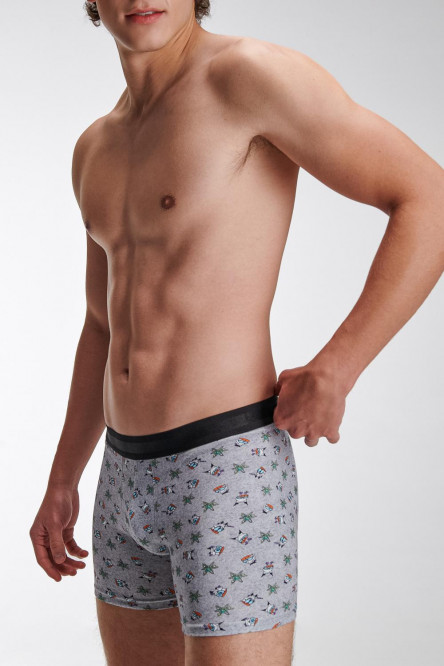 Boxer brief estampado El laboratorio de Dexter