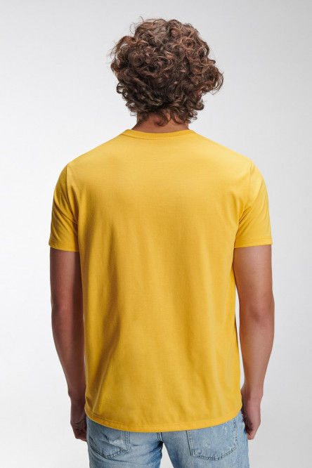 Camiseta básica manga corta estampada.