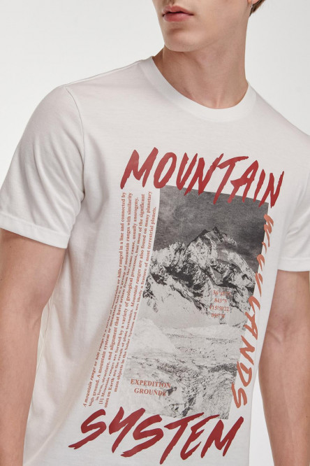 Camiseta básica manga corta con estampado