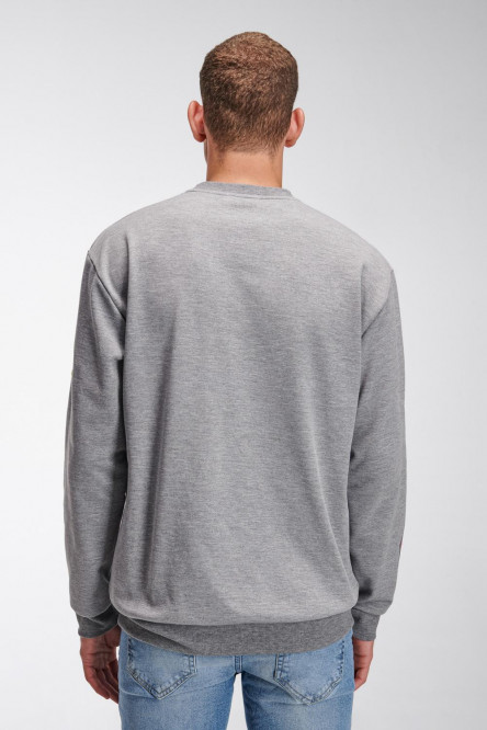 Buzo masculino, con estampado en frente y mangas.