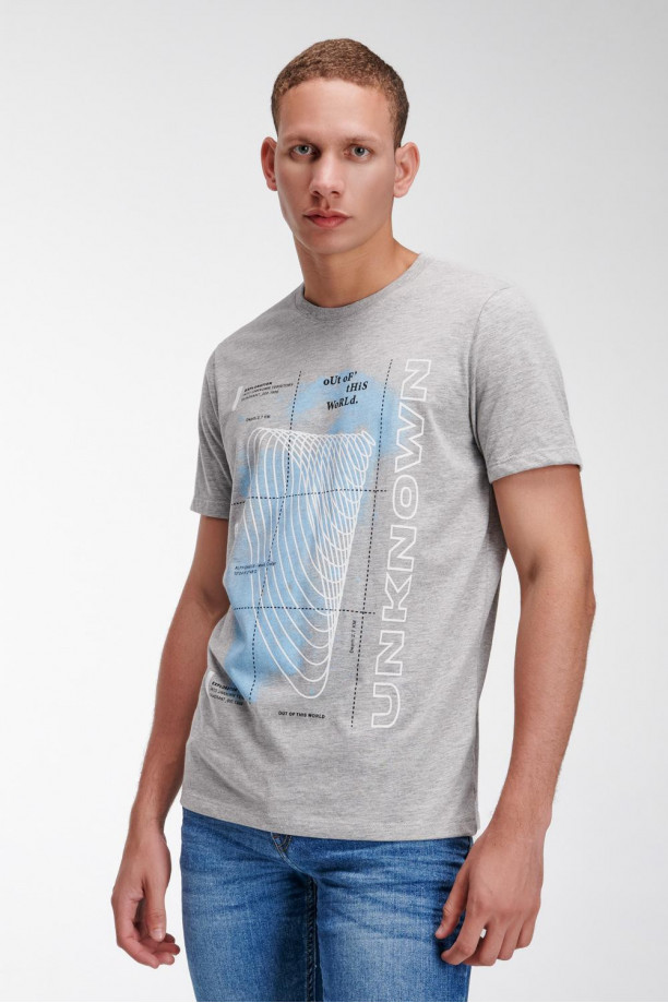 Camiseta básica manga corta estampada