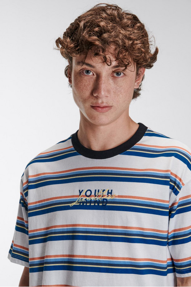 Camiseta estampada, cuello redondo, manga corta con rayas y estampado frente
