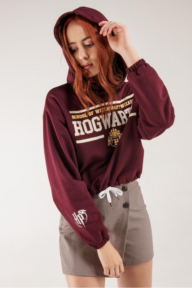 Buzo con capota estampado de Harry Potter.