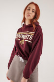 Buzo con capota estampado de Harry Potter.
