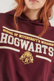 buzo-con-capota-estampado-de-harry-potter