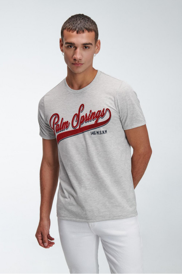 Camiseta básica manga corta estampada.