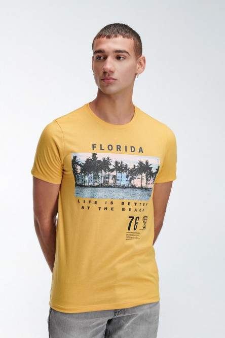 Camiseta básica manga corta con estampado