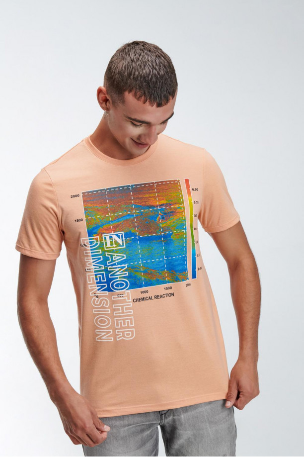 Camiseta básica manga corta estampada