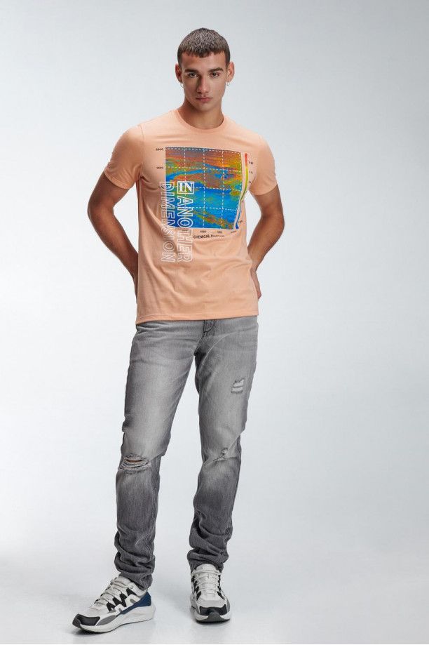 Camiseta básica manga corta estampada