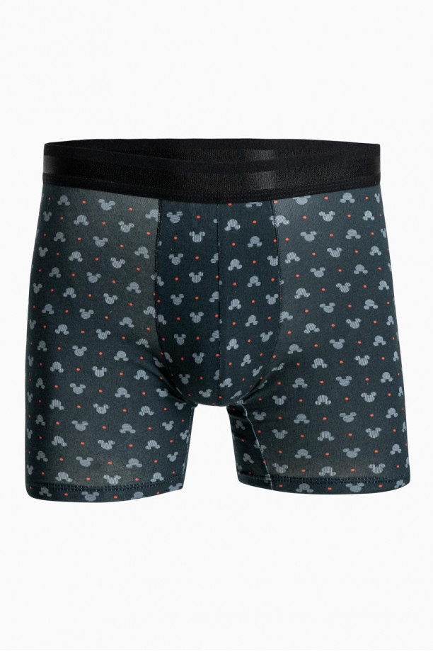 Boxer Midway Brief estampado