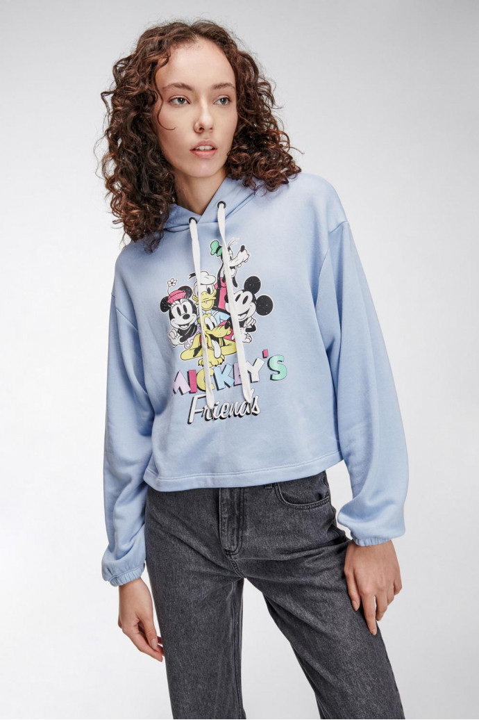 Buzo con capota de Minnie, Pluto, Goofy, Donald, y Mickey