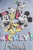 Buzo con capota de Minnie, Pluto, Goofy, Donald, y Mickey