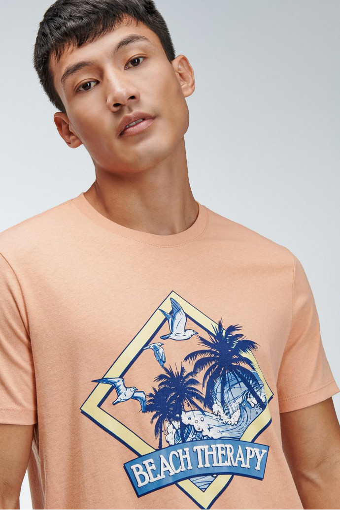 Camiseta básica manga corta estampada