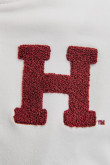 Chaqueta college Harvard