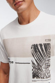 Camiseta básica manga corta estampada.