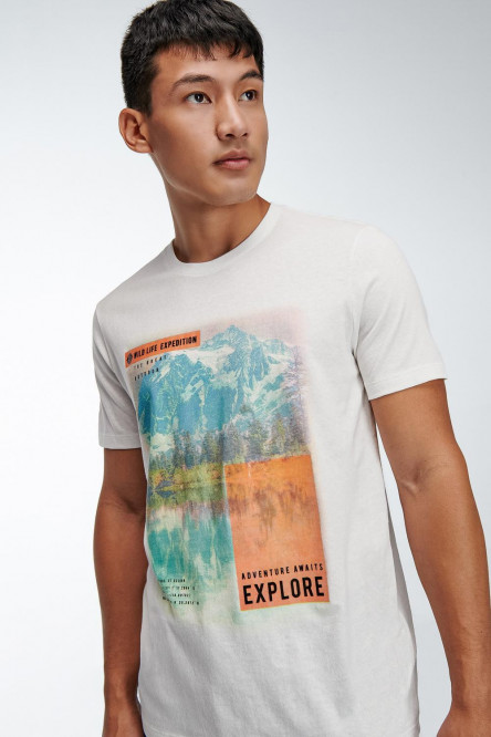 Camiseta básica manga corta estampada.