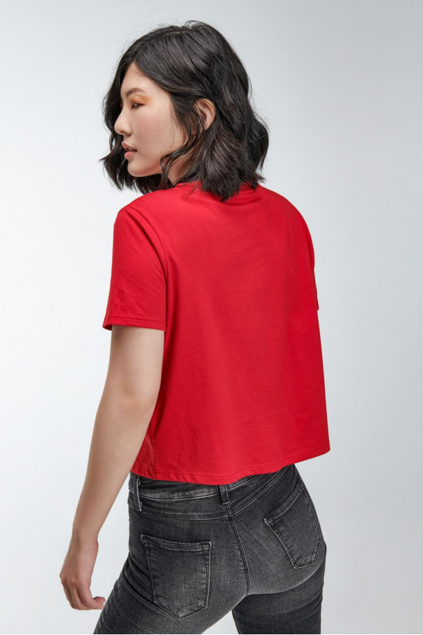 Camiseta básica manga corta estampada.
