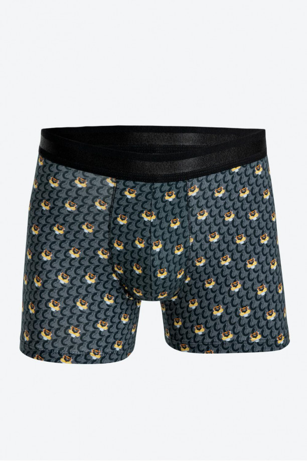 Boxer brief estampado Cheetos