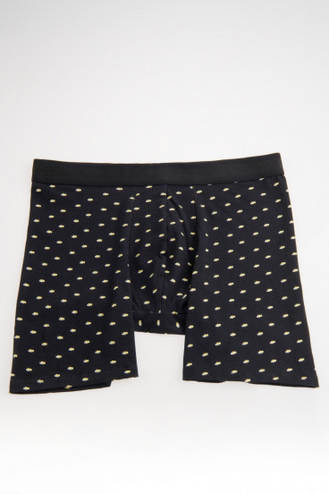 Ropa interior, Boxer, Pierna larga, Estampado.